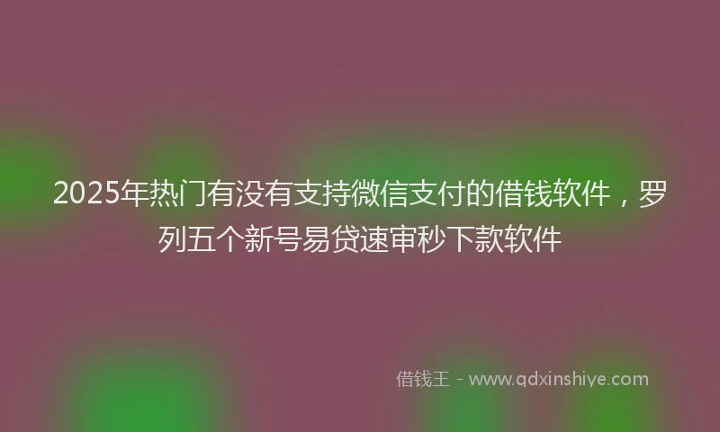 2025年热门有没有支持微信支付的借钱软件，罗列五个新号易贷速审秒下款软件