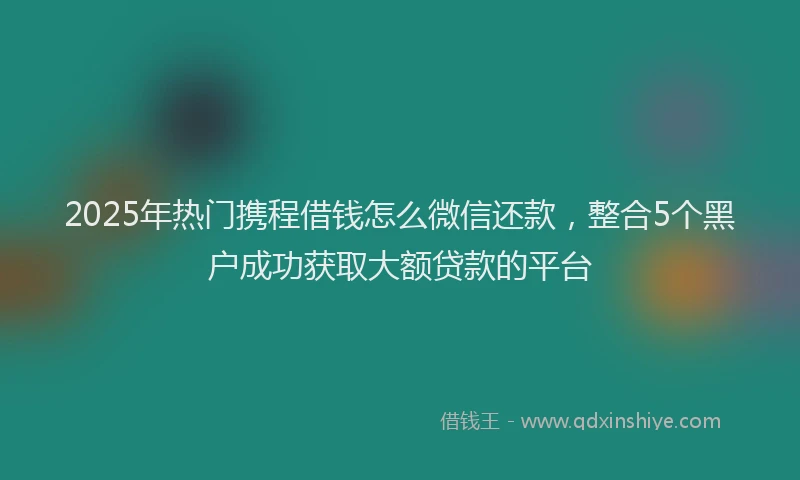 2025年热门携程借钱怎么微信还款，整合5个黑户成功获取大额贷款的平台