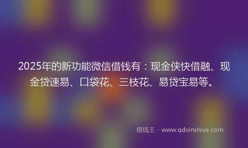 2025年的新功能微信借钱有：现金侠快借融、现金贷速易、口袋花、三枝花、易贷宝易等。