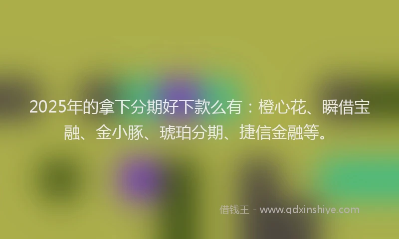 2025年的拿下分期好下款么有：橙心花、瞬借宝融、金小豚、琥珀分期、捷信金融等。