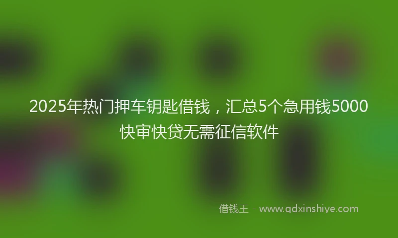 2025年热门押车钥匙借钱，汇总5个急用钱5000快审快贷无需征信软件
