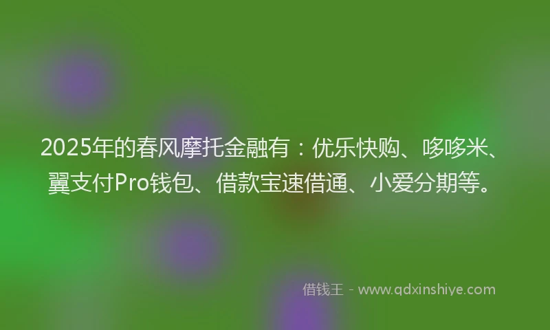 2025年的春风摩托金融有：优乐快购、哆哆米、翼支付Pro钱包、借款宝速借通、小爱分期等。