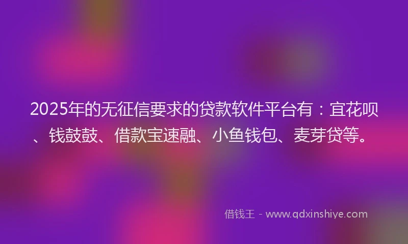 2025年的无征信要求的贷款软件平台有：宜花呗、钱鼓鼓、借款宝速融、小鱼钱包、麦芽贷等。