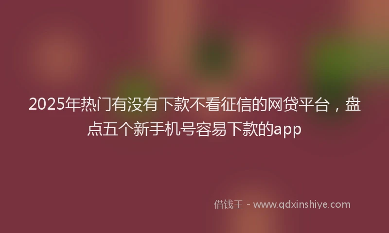 2025年热门有没有下款不看征信的网贷平台，盘点五个新手机号容易下款的app