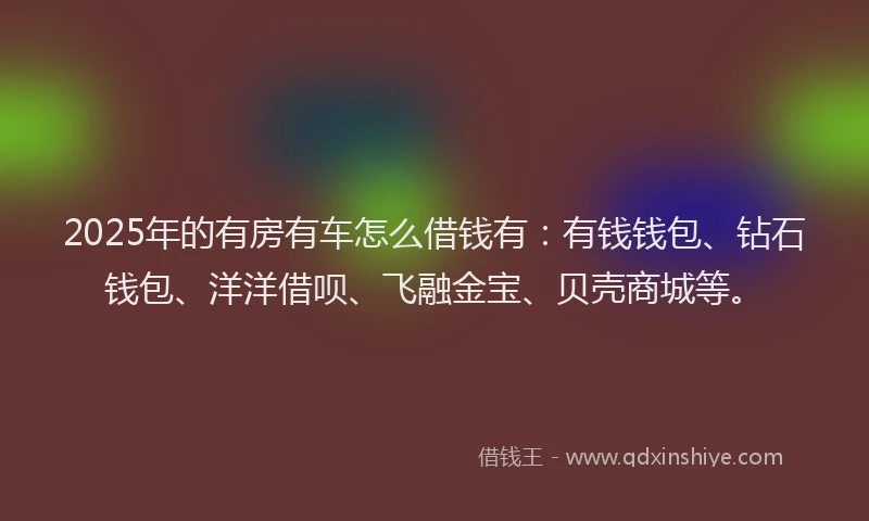 2025年的有房有车怎么借钱有：有钱钱包、钻石钱包、洋洋借呗、飞融金宝、贝壳商城等。