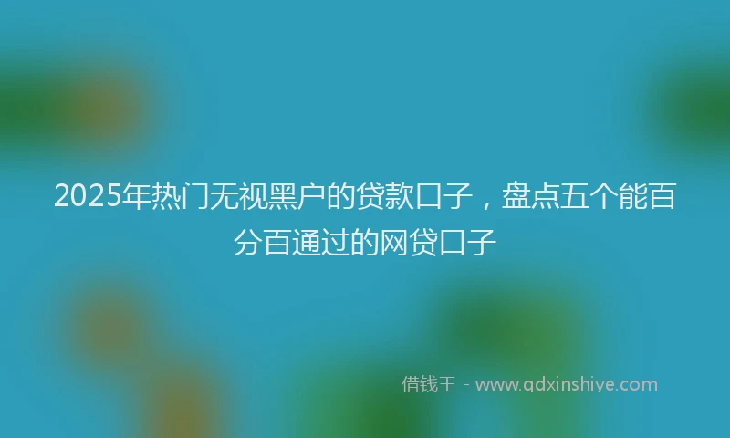 2025年热门无视黑户的贷款口子，盘点五个能百分百通过的网贷口子