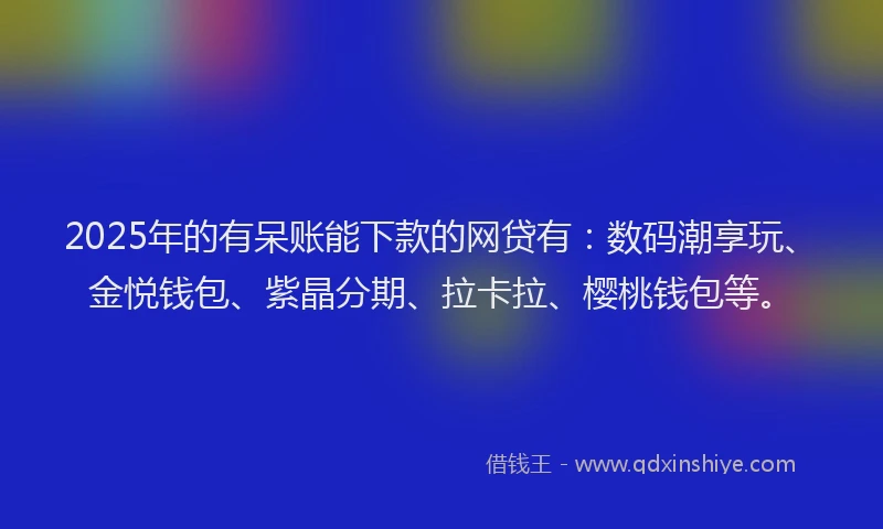 2025年的有呆账能下款的网贷有：数码潮享玩、金悦钱包、紫晶分期、拉卡拉、樱桃钱包等。