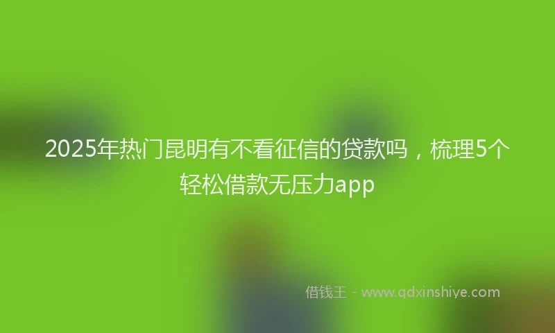 2025年热门昆明有不看征信的贷款吗，梳理5个轻松借款无压力app