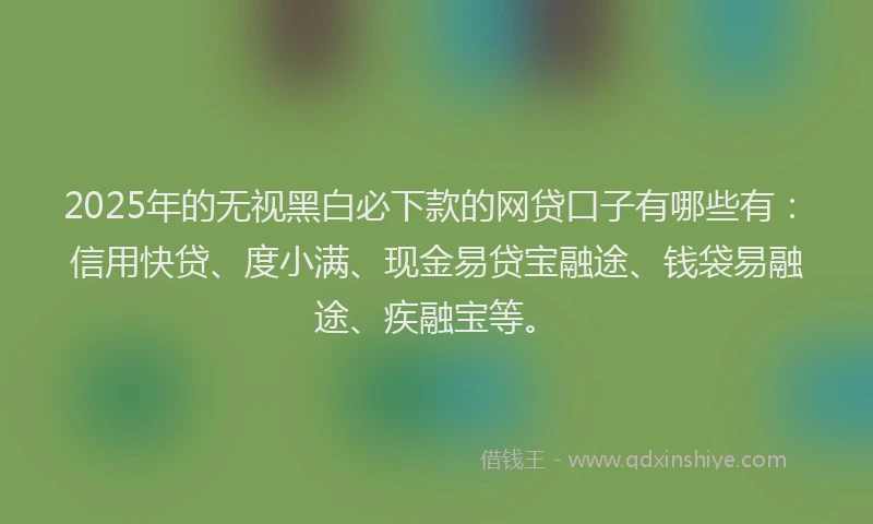 2025年的无视黑白必下款的网贷口子有哪些有：信用快贷、度小满、现金易贷宝融途、钱袋易融途、疾融宝等。