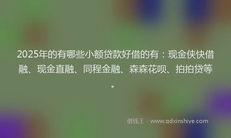 2025年的有哪些小额贷款好借的有：现金侠快借融、现金直融、同程金融、森森花呗、拍拍贷等。