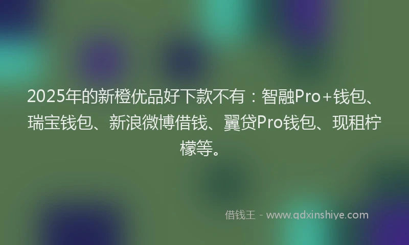 2025年的新橙优品好下款不有：智融Pro+钱包、瑞宝钱包、新浪微博借钱、翼贷Pro钱包、现租柠檬等。