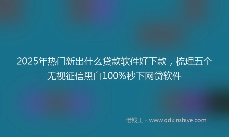 2025年热门新出什么贷款软件好下款，梳理五个无视征信黑白100%秒下网贷软件
