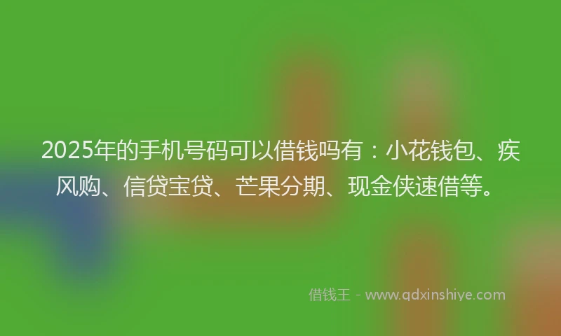 2025年的手机号码可以借钱吗有：小花钱包、疾风购、信贷宝贷、芒果分期、现金侠速借等。