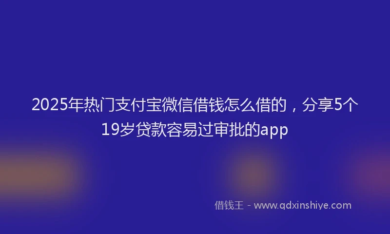 2025年热门支付宝微信借钱怎么借的，分享5个19岁贷款容易过审批的app