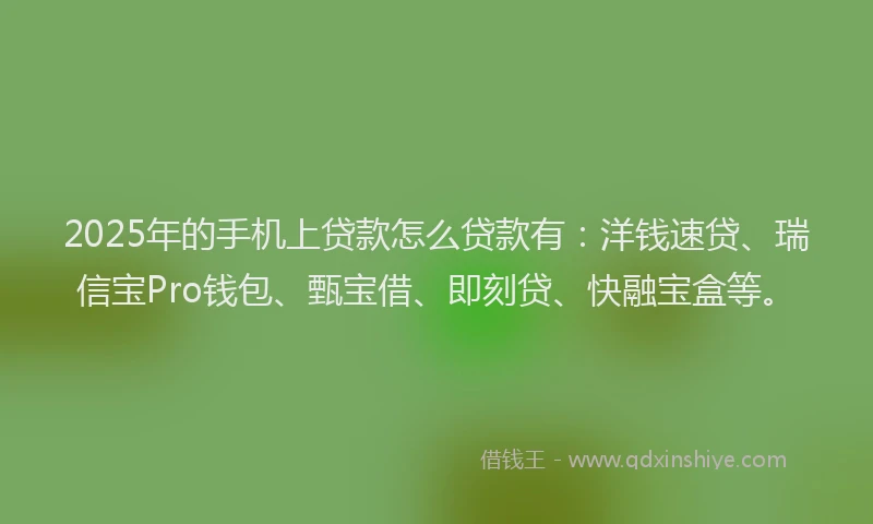 2025年的手机上贷款怎么贷款有：洋钱速贷、瑞信宝Pro钱包、甄宝借、即刻贷、快融宝盒等。