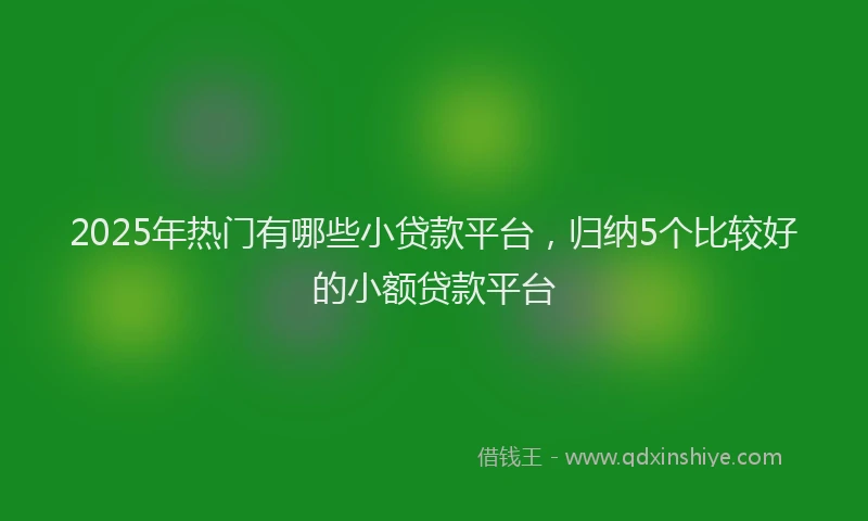 2025年热门有哪些小贷款平台，归纳5个比较好的小额贷款平台