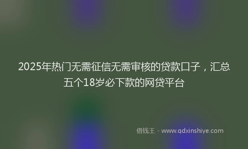 2025年热门无需征信无需审核的贷款口子，汇总五个18岁必下款的网贷平台