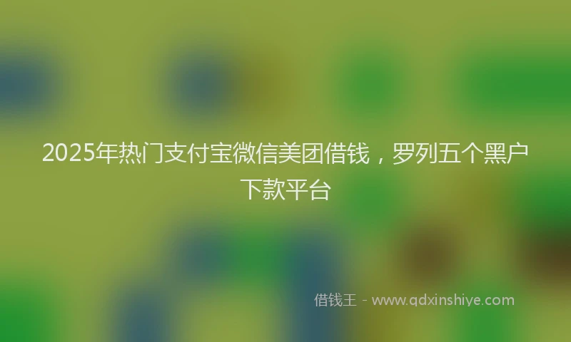 2025年热门支付宝微信美团借钱，罗列五个黑户下款平台