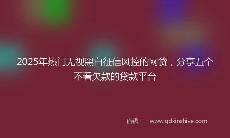 2025年热门无视黑白征信风控的网贷，分享五个不看欠款的贷款平台