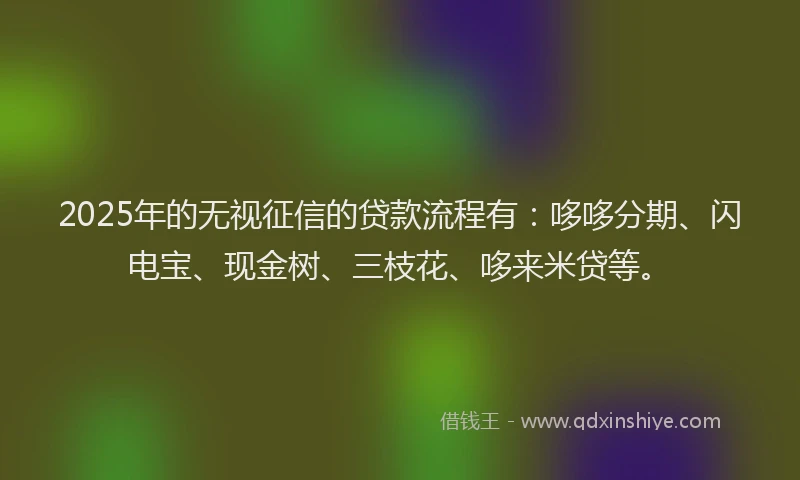 2025年的无视征信的贷款流程有：哆哆分期、闪电宝、现金树、三枝花、哆来米贷等。