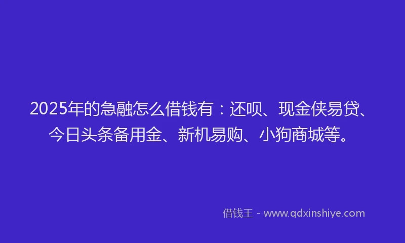 2025年的急融怎么借钱有：还呗、现金侠易贷、今日头条备用金、新机易购、小狗商城等。