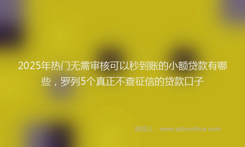 2025年热门无需审核可以秒到账的小额贷款有哪些，罗列5个真正不查征信的贷款口子
