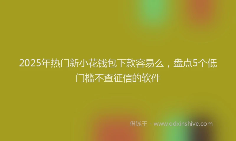 2025年热门新小花钱包下款容易么，盘点5个低门槛不查征信的软件