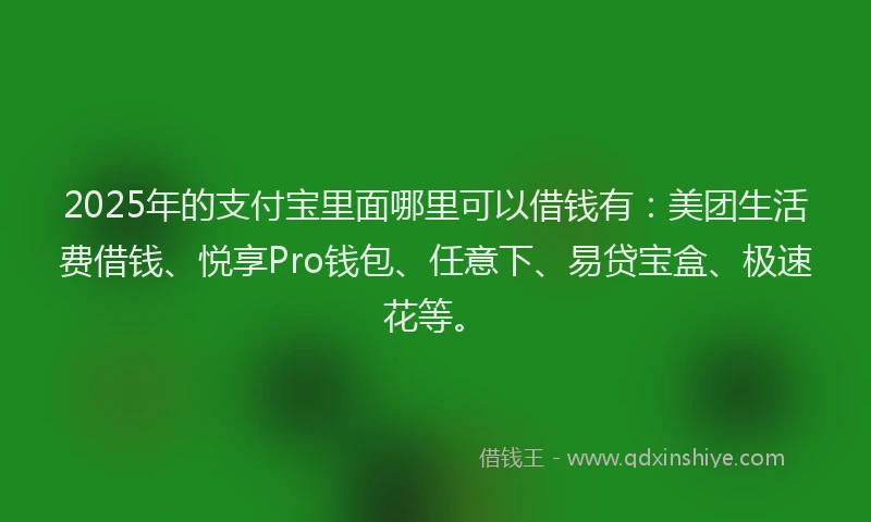 2025年的支付宝里面哪里可以借钱有：美团生活费借钱、悦享Pro钱包、任意下、易贷宝盒、极速花等。