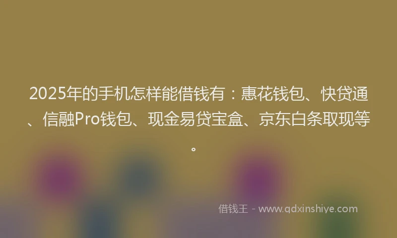 2025年的手机怎样能借钱有：惠花钱包、快贷通、信融Pro钱包、现金易贷宝盒、京东白条取现等。