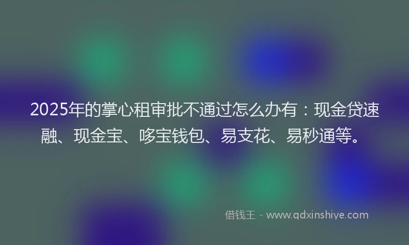 2025年的掌心租审批不通过怎么办有：现金贷速融、现金宝、哆宝钱包、易支花、易秒通等。