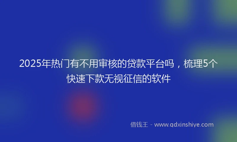 2025年热门有不用审核的贷款平台吗，梳理5个快速下款无视征信的软件