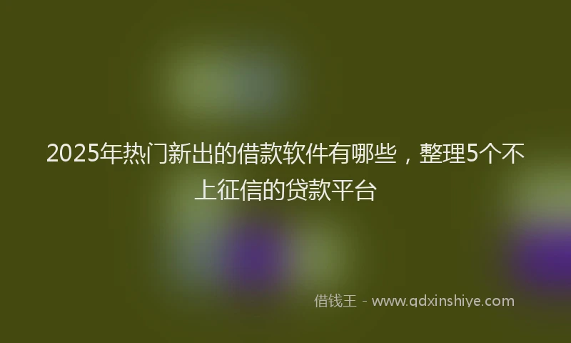 2025年热门新出的借款软件有哪些，整理5个不上征信的贷款平台