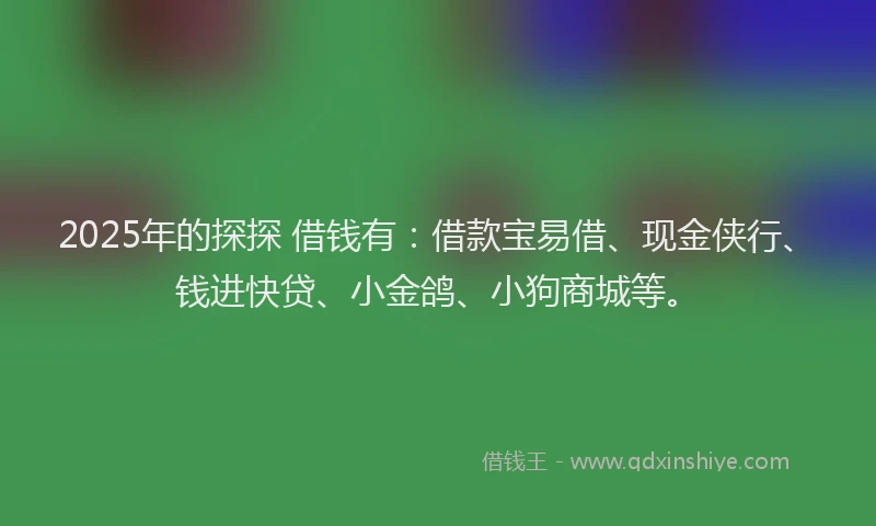 2025年的探探 借钱有：借款宝易借、现金侠行、钱进快贷、小金鸽、小狗商城等。