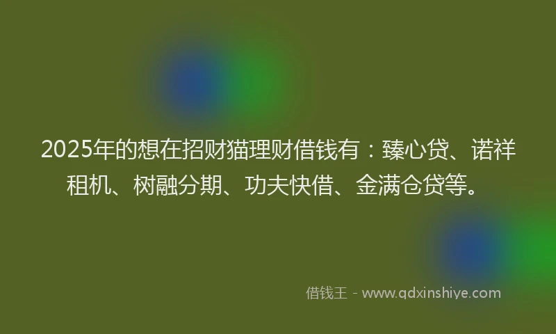 2025年的想在招财猫理财借钱有：臻心贷、诺祥租机、树融分期、功夫快借、金满仓贷等。