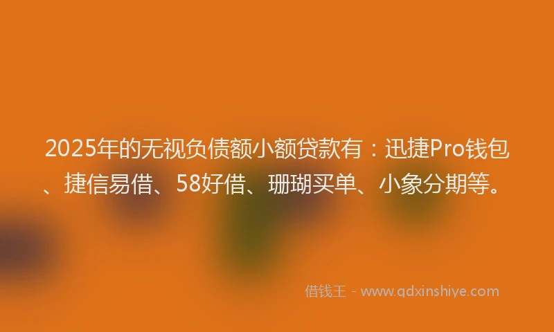 2025年的无视负债额小额贷款有：迅捷Pro钱包、捷信易借、58好借、珊瑚买单、小象分期等。