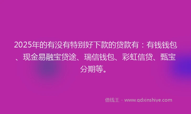 2025年的有没有特别好下款的贷款有：有钱钱包、现金易融宝贷途、瑞信钱包、彩虹信贷、甄宝分期等。