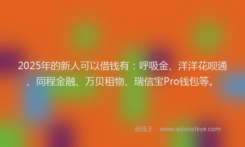 2025年的新人可以借钱有：呼吸金、洋洋花呗通、同程金融、万贝租物、瑞信宝Pro钱包等。