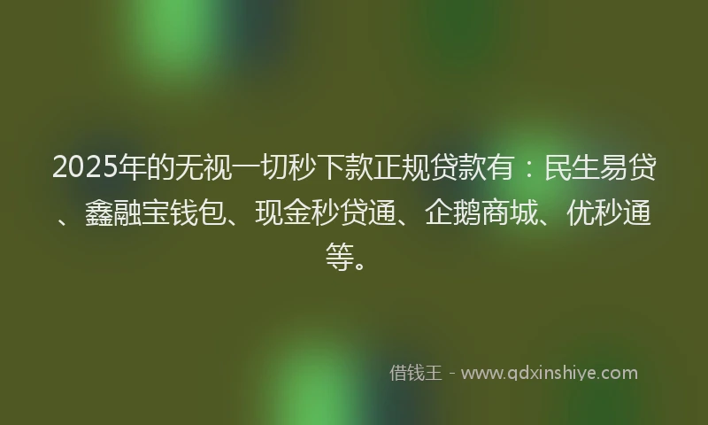 2025年的无视一切秒下款正规贷款有：民生易贷、鑫融宝钱包、现金秒贷通、企鹅商城、优秒通等。