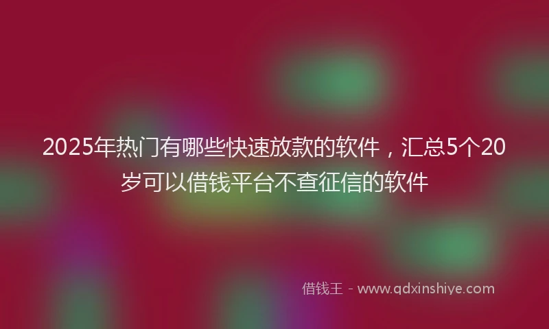 2025年热门有哪些快速放款的软件，汇总5个20岁可以借钱平台不查征信的软件