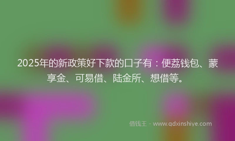 2025年的新政策好下款的口子有：便荔钱包、蒙享金、可易借、陆金所、想借等。