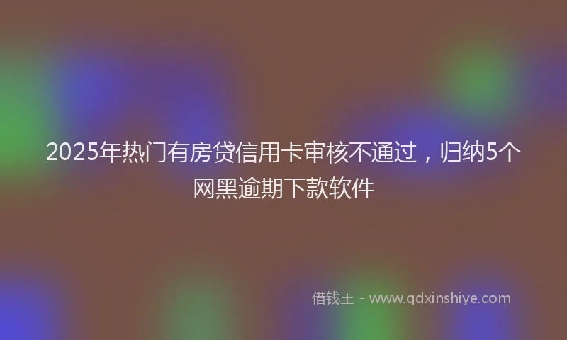 2025年热门有房贷信用卡审核不通过，归纳5个网黑逾期下款软件