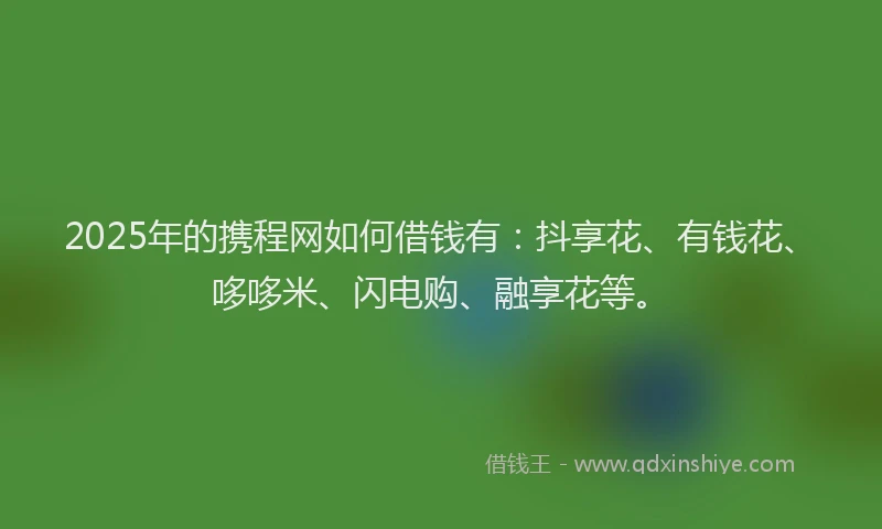 2025年的携程网如何借钱有：抖享花、有钱花、哆哆米、闪电购、融享花等。