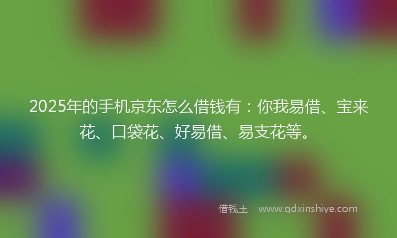 2025年的手机京东怎么借钱有：你我易借、宝来花、口袋花、好易借、易支花等。