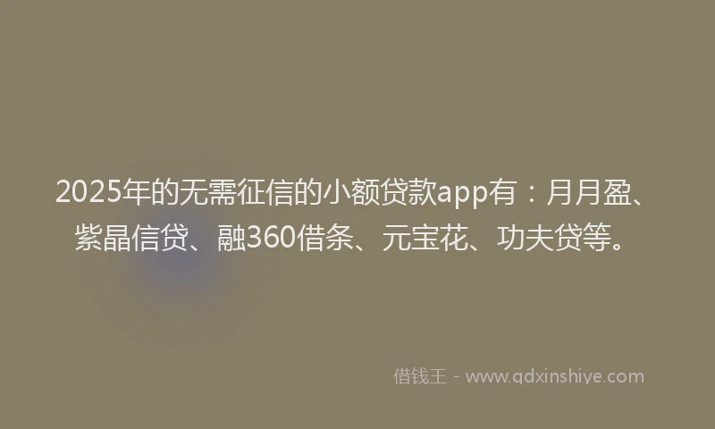 2025年的无需征信的小额贷款app有：月月盈、紫晶信贷、融360借条、元宝花、功夫贷等。