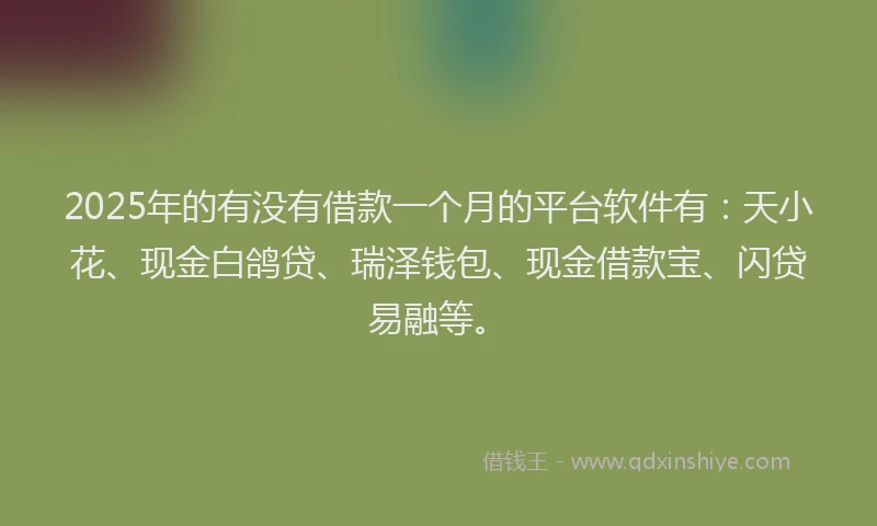 2025年的有没有借款一个月的平台软件有：天小花、现金白鸽贷、瑞泽钱包、现金借款宝、闪贷易融等。