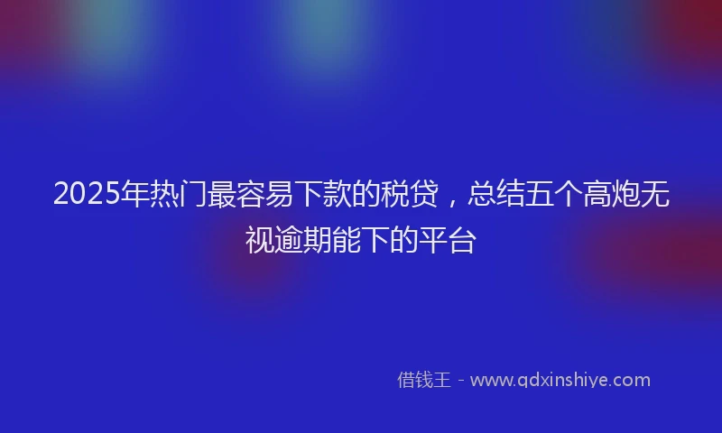 2025年热门最容易下款的税贷，总结五个高炮无视逾期能下的平台