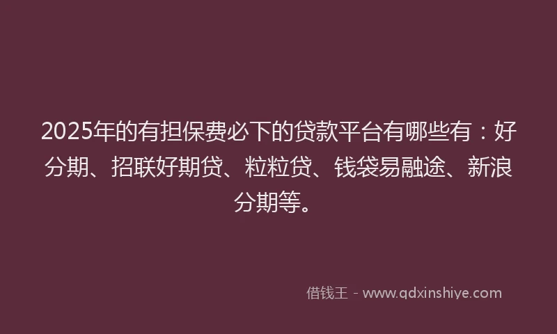 2025年的有担保费必下的贷款平台有哪些有：好分期、招联好期贷、粒粒贷、钱袋易融途、新浪分期等。
