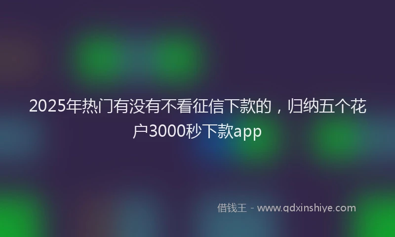 2025年热门有没有不看征信下款的，归纳五个花户3000秒下款app