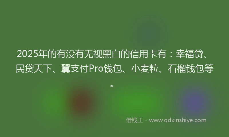 2025年的有没有无视黑白的信用卡有：幸福贷、民贷天下、翼支付Pro钱包、小麦粒、石榴钱包等。