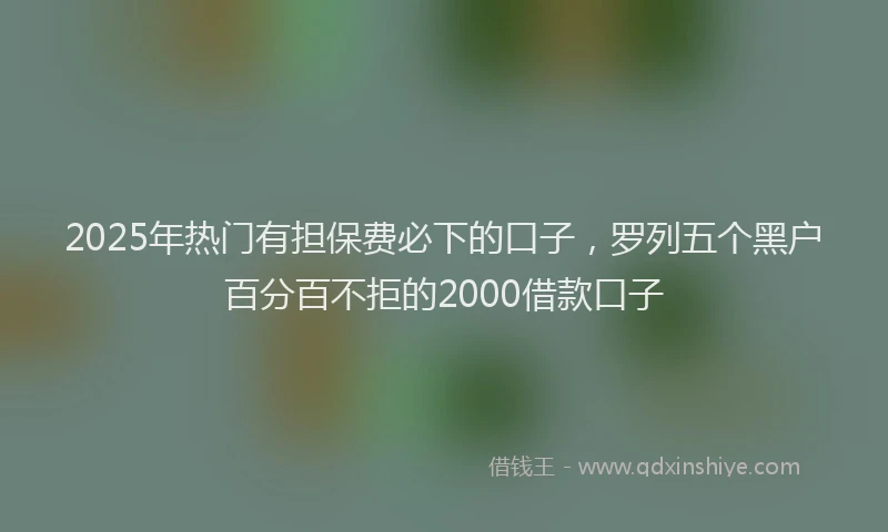 2025年热门有担保费必下的口子，罗列五个黑户百分百不拒的2000借款口子